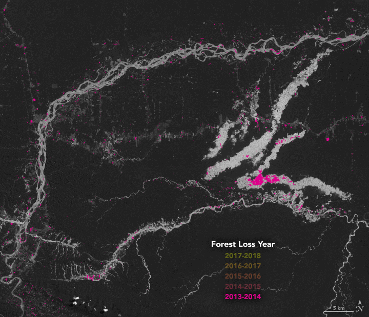 Tracking Peruvian Forest Loss from Space