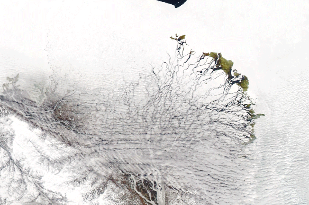 Lena Delta Shakes Off Winter