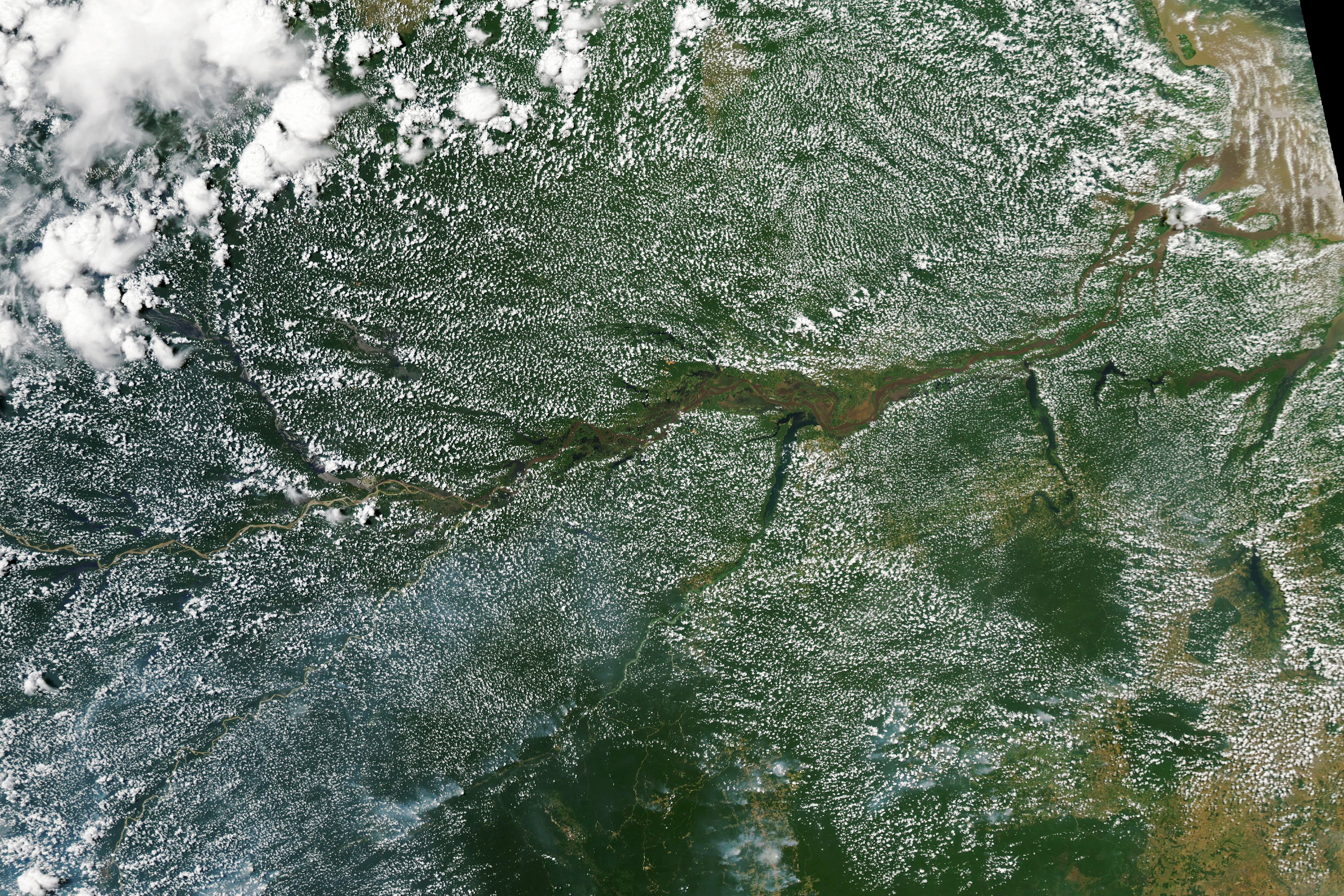 Nubes pequeñas sobre áreas amazónicas en una imagen satelital MODIS difundida por Earth Observatory