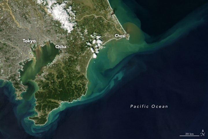 Hagibis Floods Japan - NASA Science