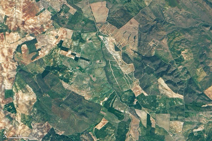 earthobservatory.nasa.gov