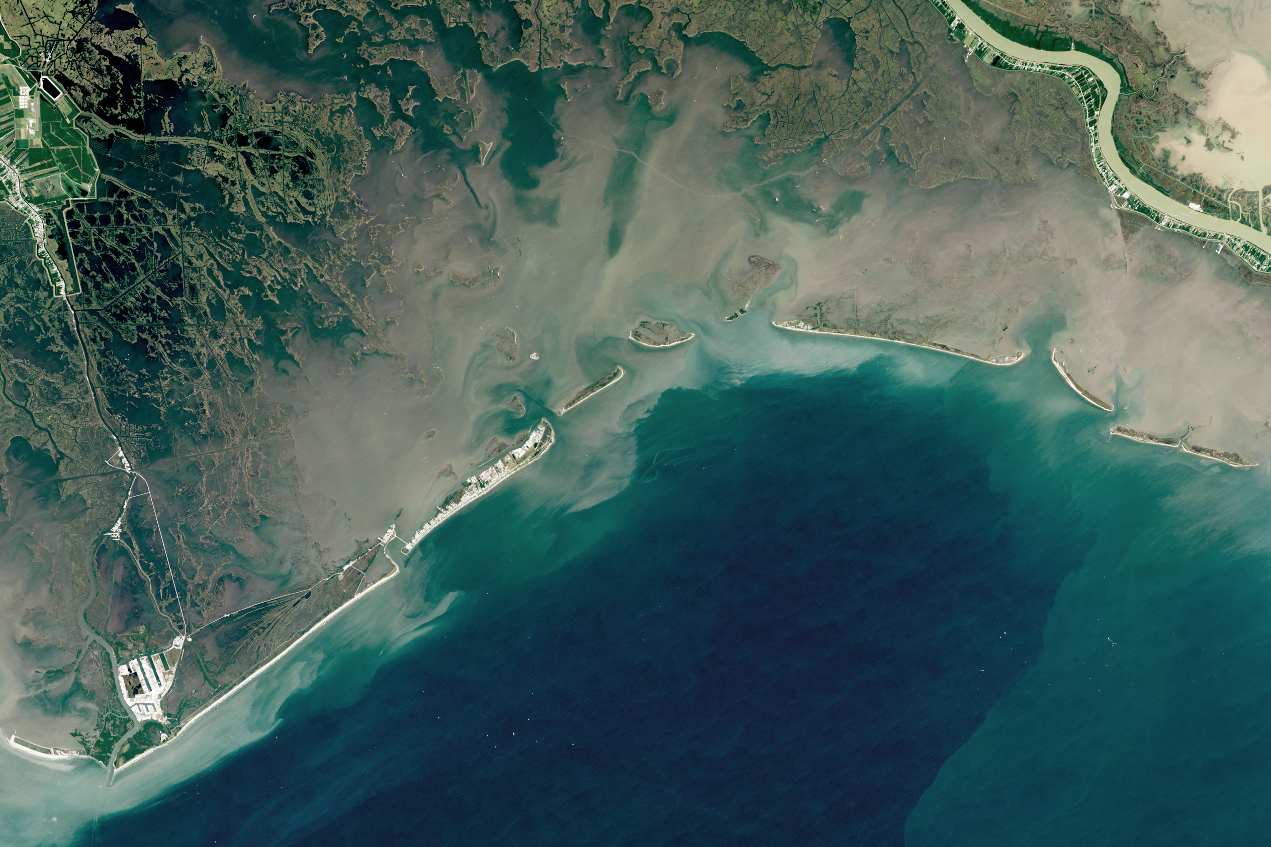 Salt Marshes in the Southeast, USA | Ocean Tipping Points, image size:2528x1685