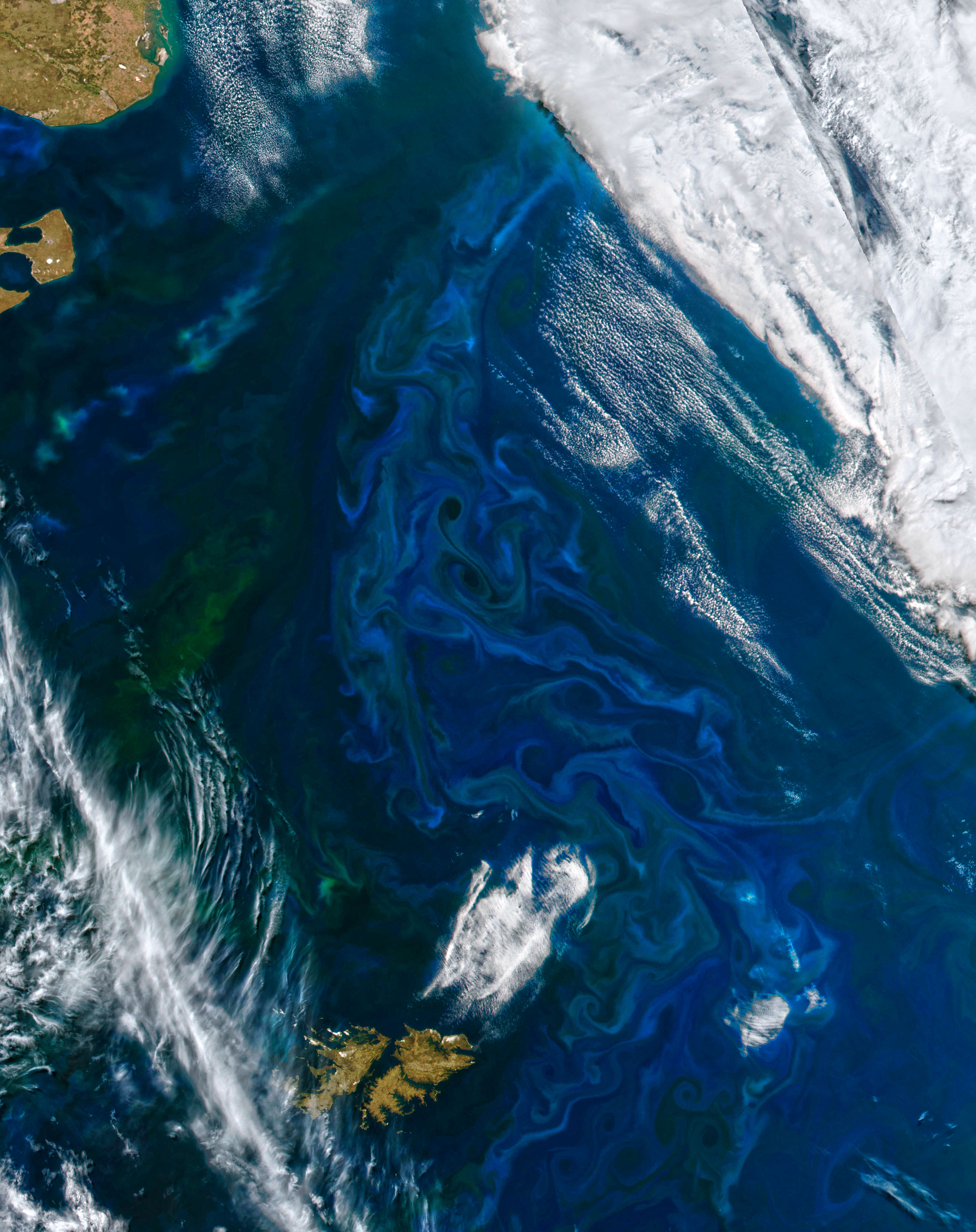 NASA satellite image of blue-green phytoplankton swirls in the ocean near Patagonia