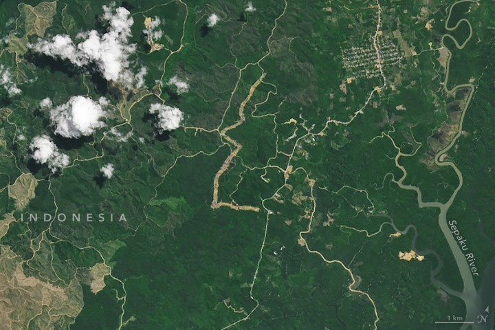 Photograph accompanying Indigenous collaborators are recording a Bornean hillside before Indonesia's new capital reaches it