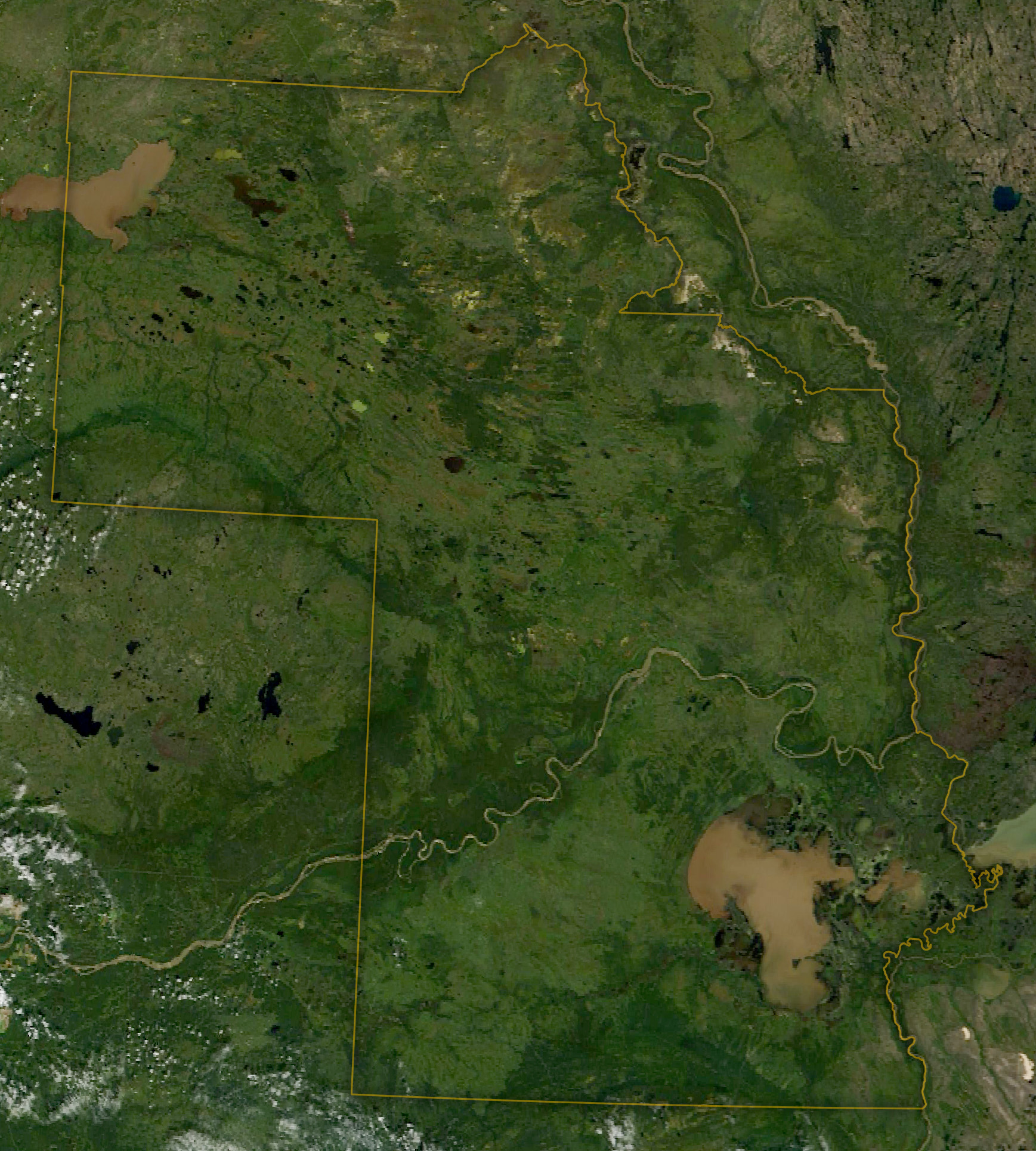 Where the Wood Bison Roam - NASA Science