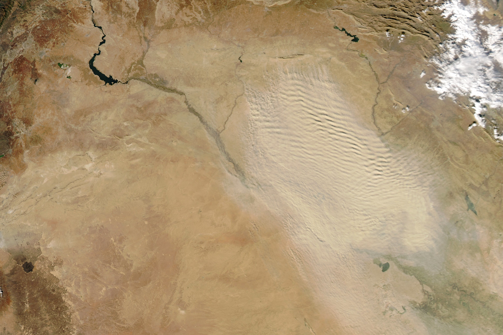 Winter Blast of Dust in the Middle East - NASA Science