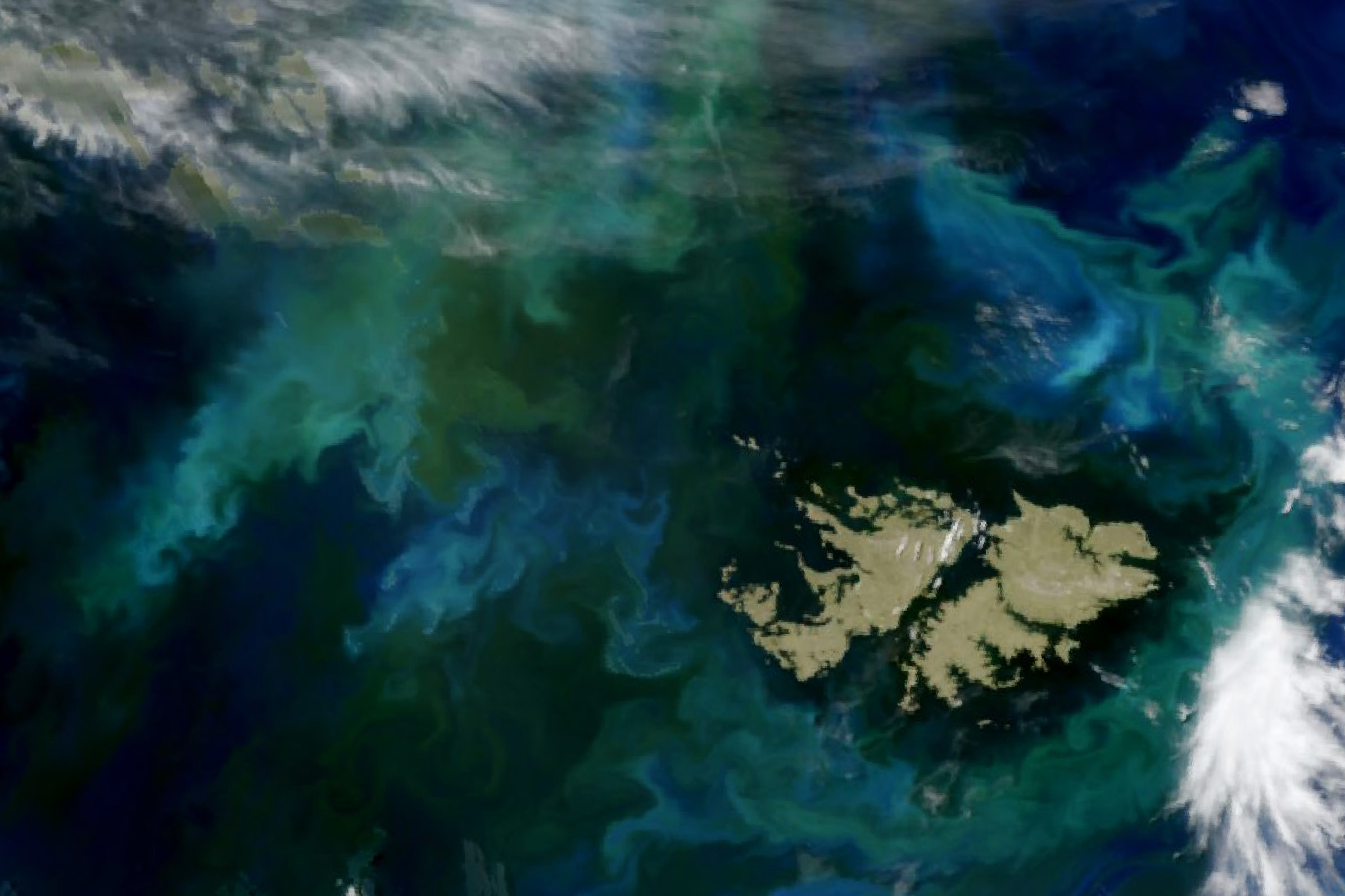 NASA PACE satellite Ocean Color Instrument image of a phytoplankton bloom around the Falkland Islands on December 28 2024 with bright green and milky blue surface waters