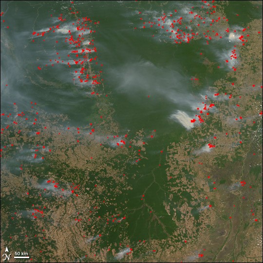 Fires and Deforestation in the Amazon - NASA Science