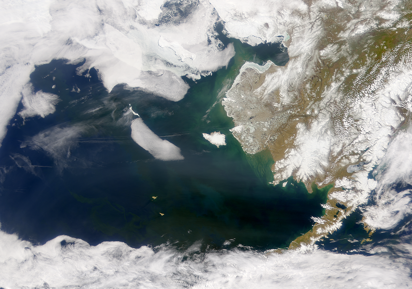 Bering Sea in Bloom - NASA Science