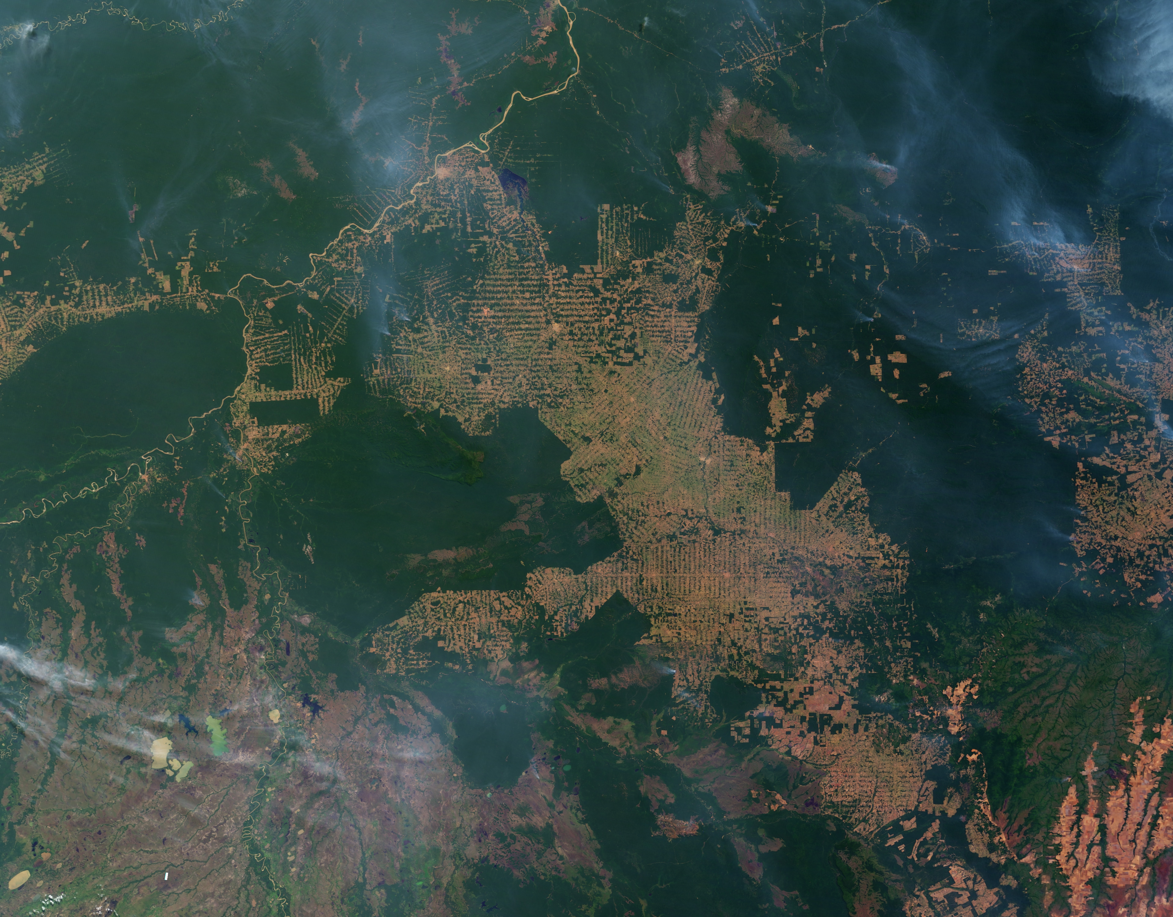Brazil reports record-low Amazon deforestation days before pivotal runoff election