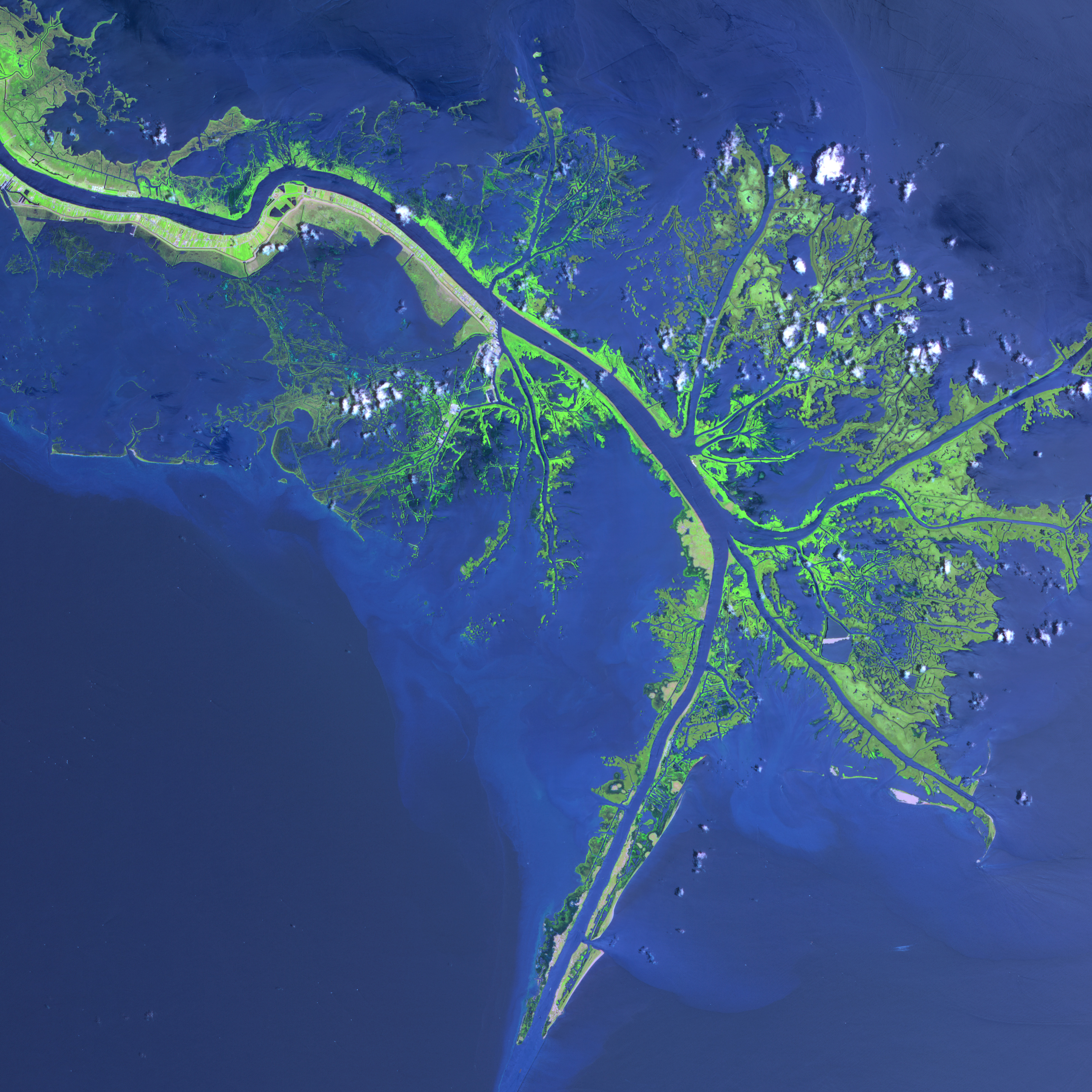 Mississippi River Delta - NASA Science