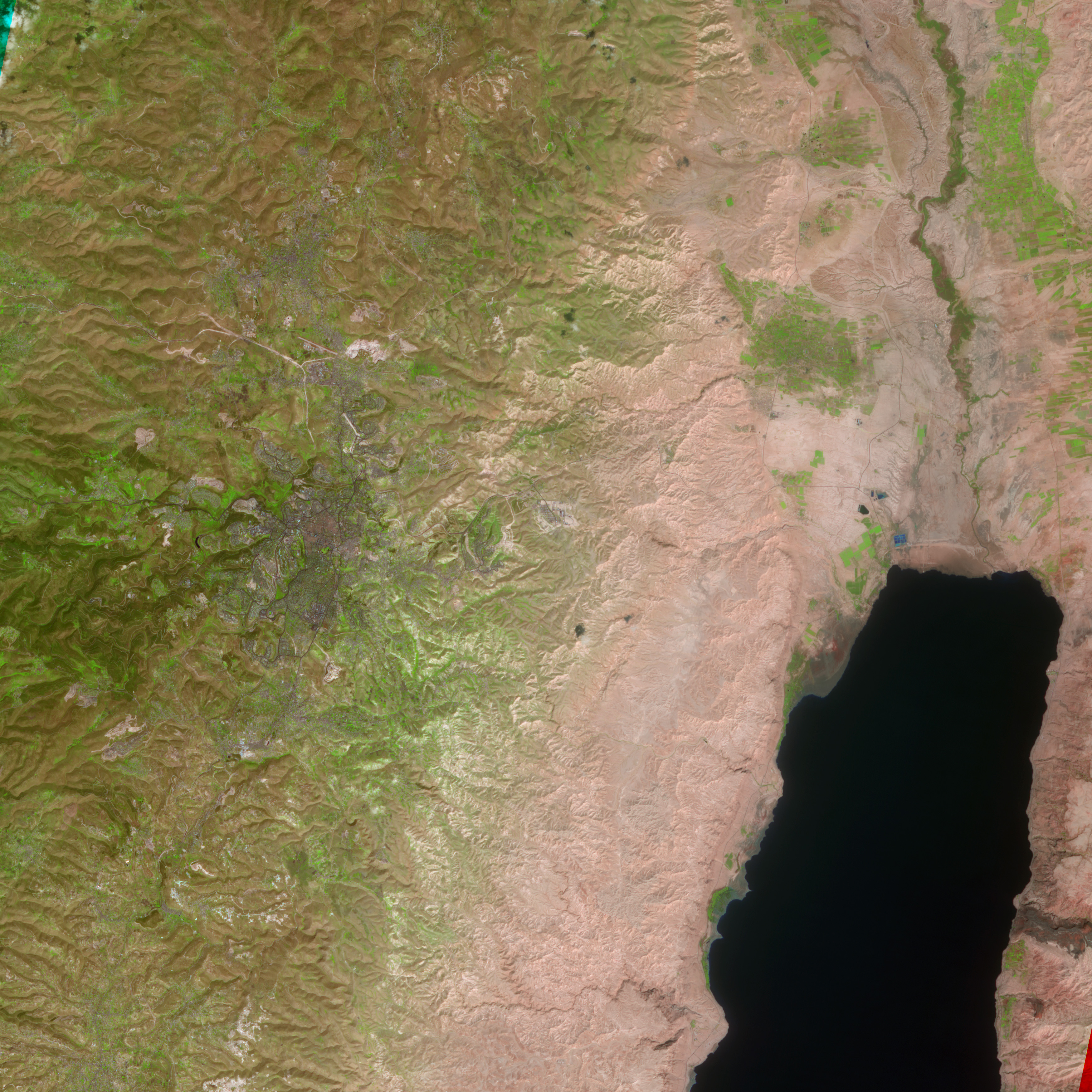 NASA ASTER false-color satellite image of Jerusalem showing the ancient city in shades of purple with vegetation in green and bare ground in pinkish brown surrounding the urban core including the Old City and the western Jerusalem neighborhoods