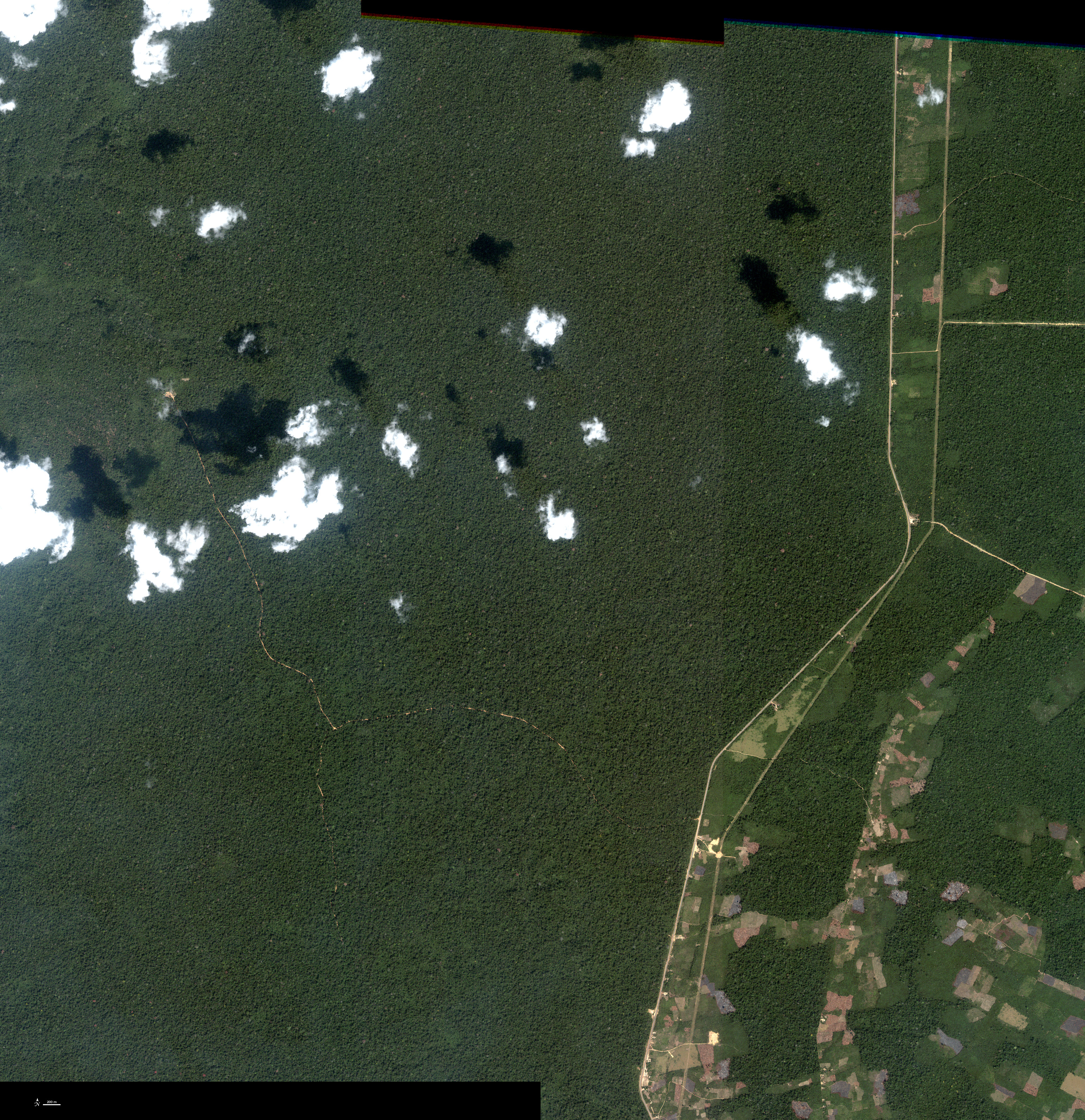 Amazonian Drought Experiment - NASA Science