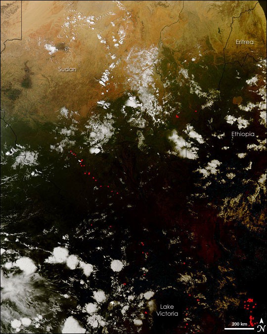 Solar Eclipse over Africa - NASA Science
