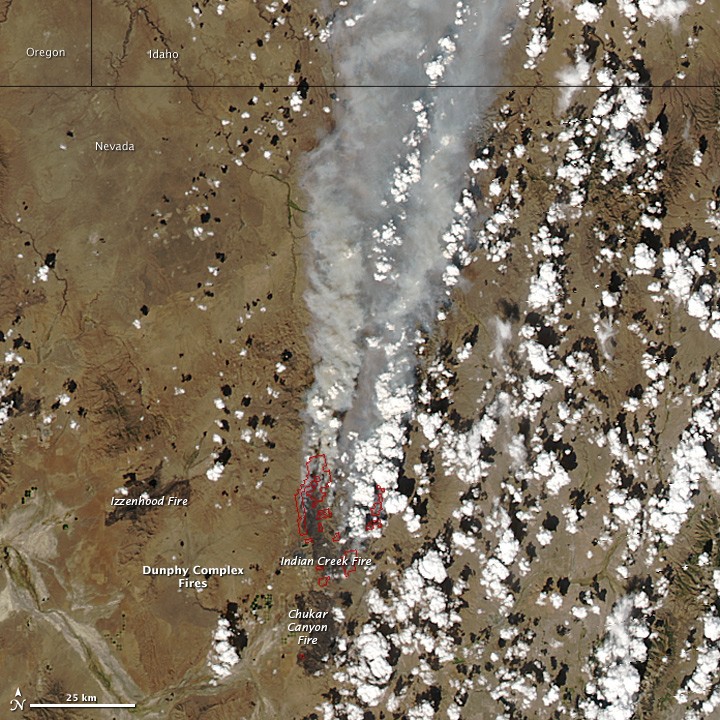 Dunphy Complex Fires, Nevada - NASA Science