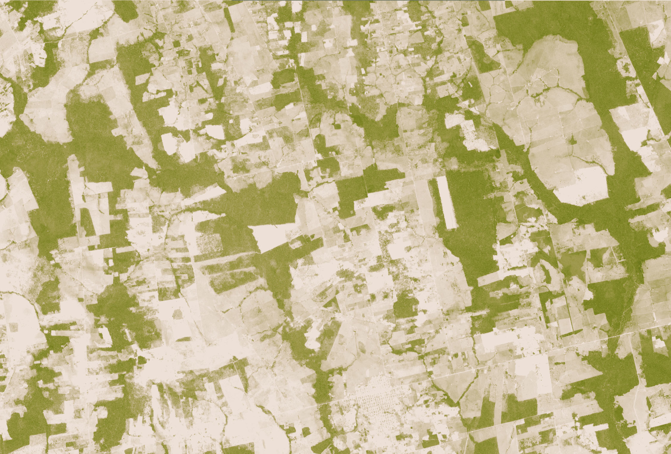 The same area on Sept. 26, 2006, with most of the forest cleared to tan land