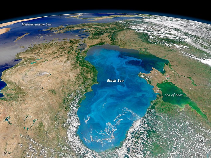 Carbon Eaters on the Black Sea - NASA Science
