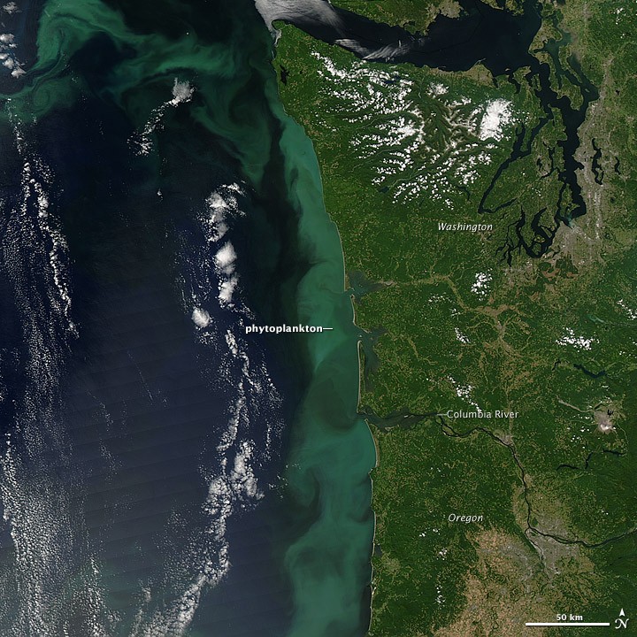 earthobservatory.nasa.gov