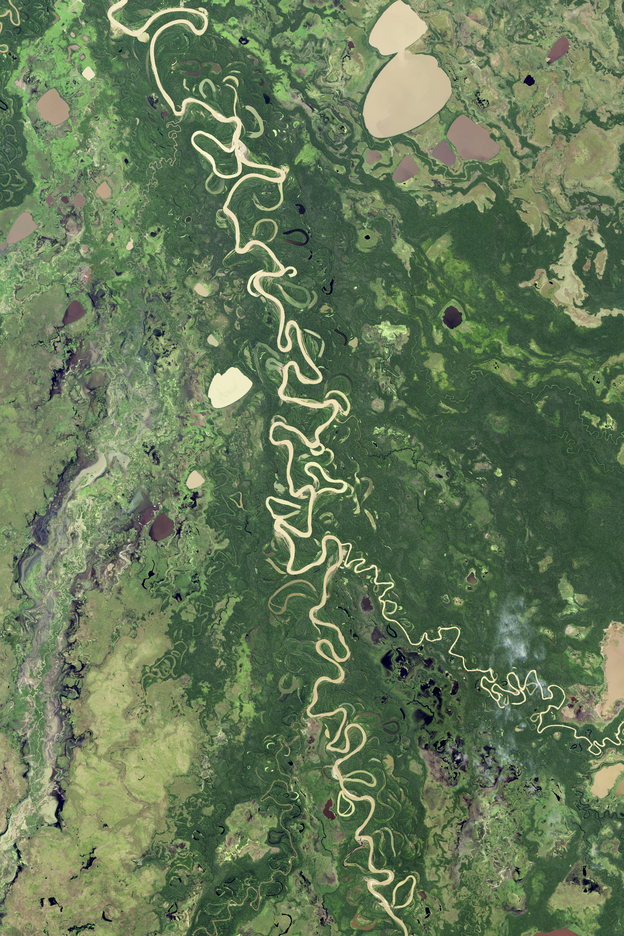 Meandering in the Amazon - NASA Science