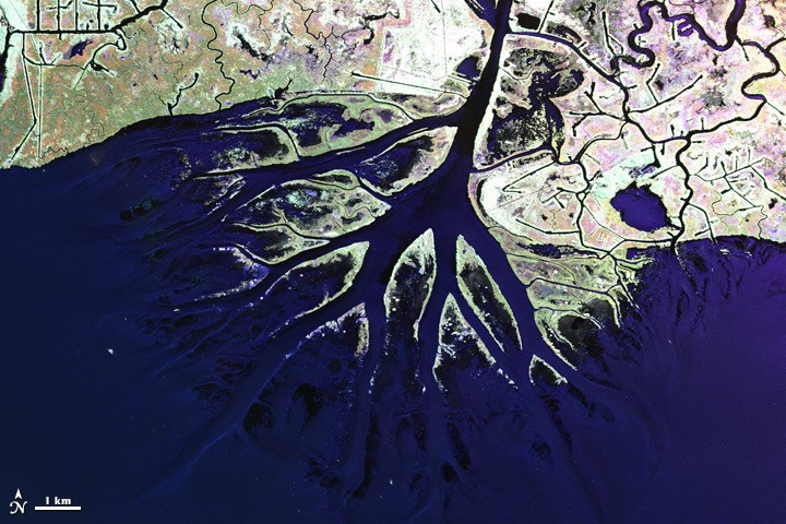 Airborne Instruments Look for Changes in the Delta - NASA Science