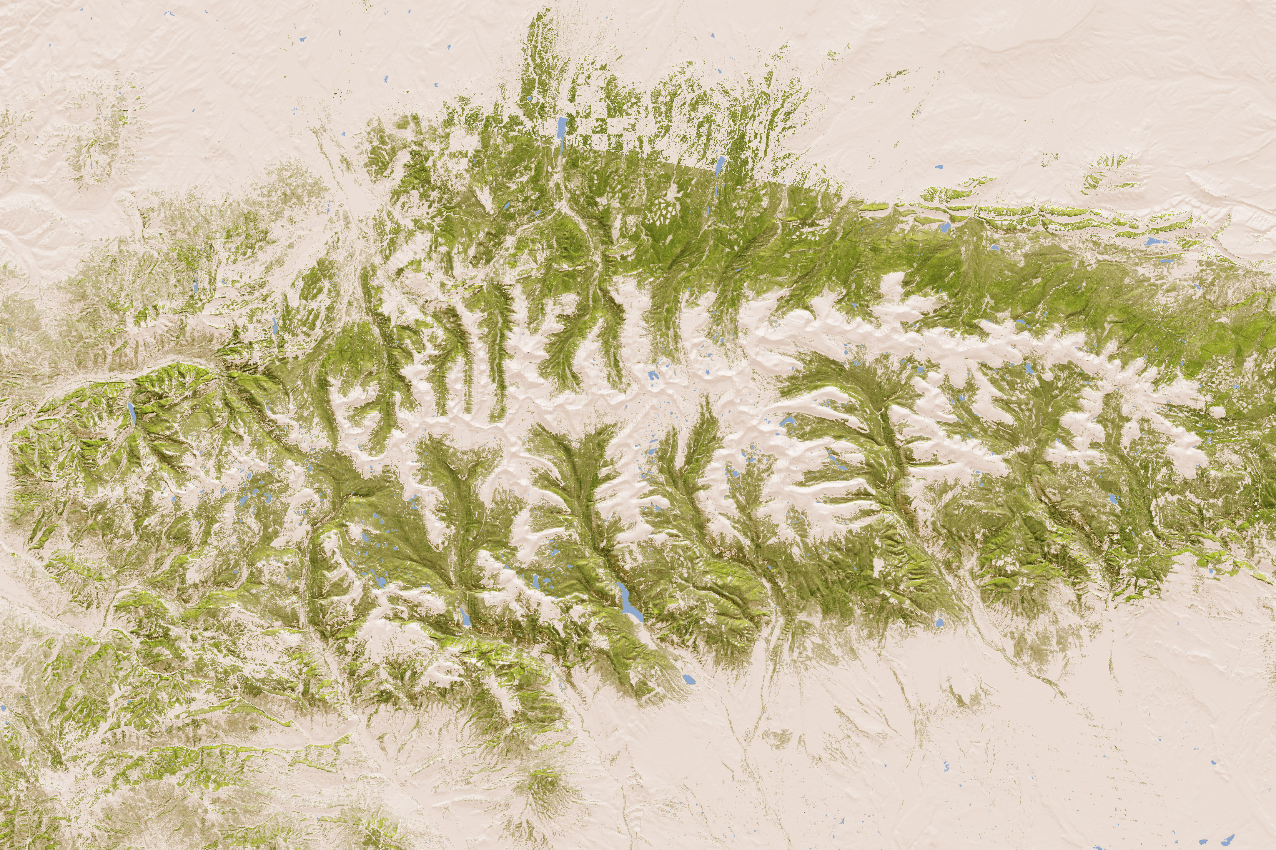 When a Definition Makes a Forest Disappear - NASA Science