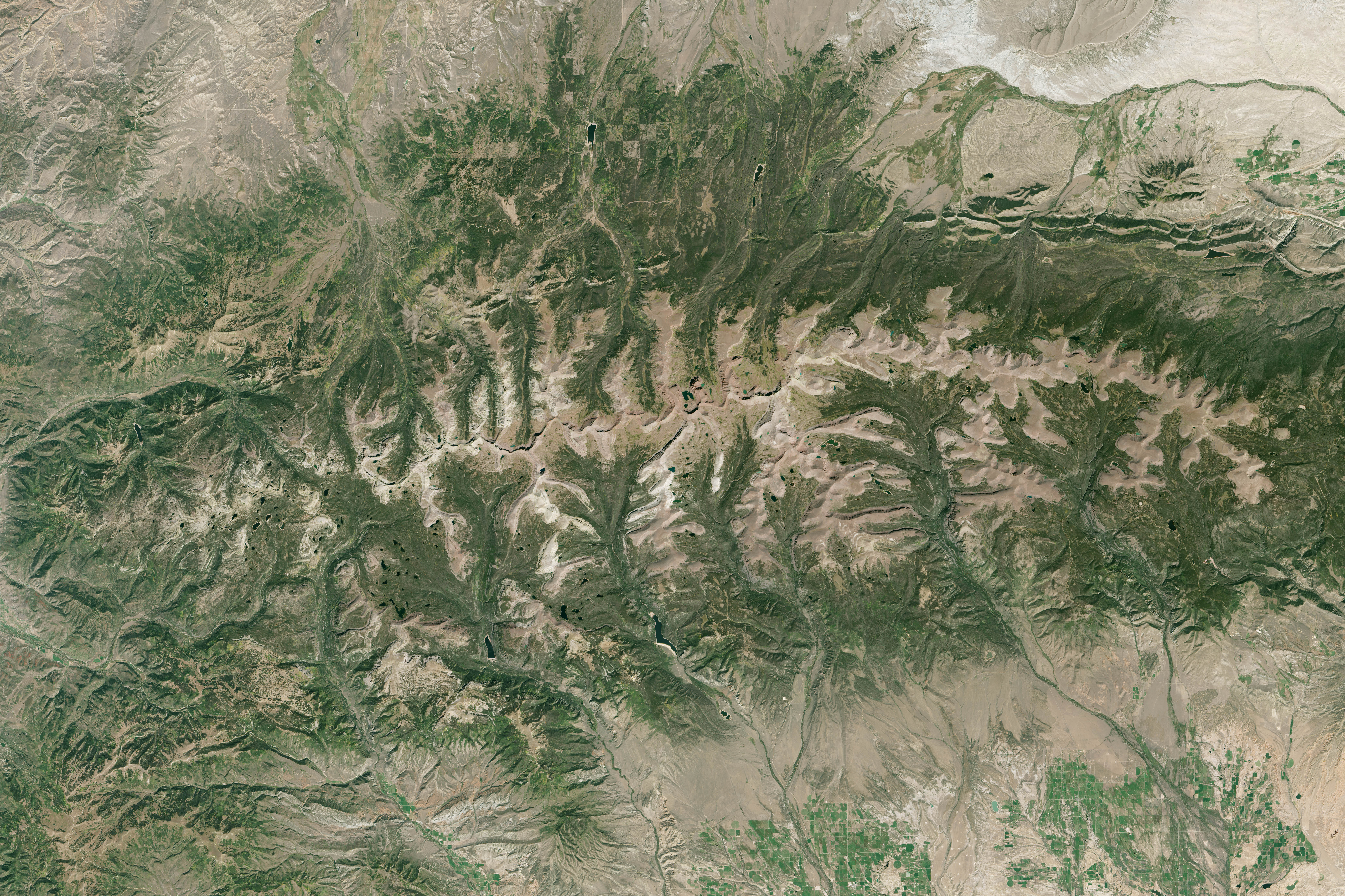 When a Definition Makes a Forest Disappear - NASA Science