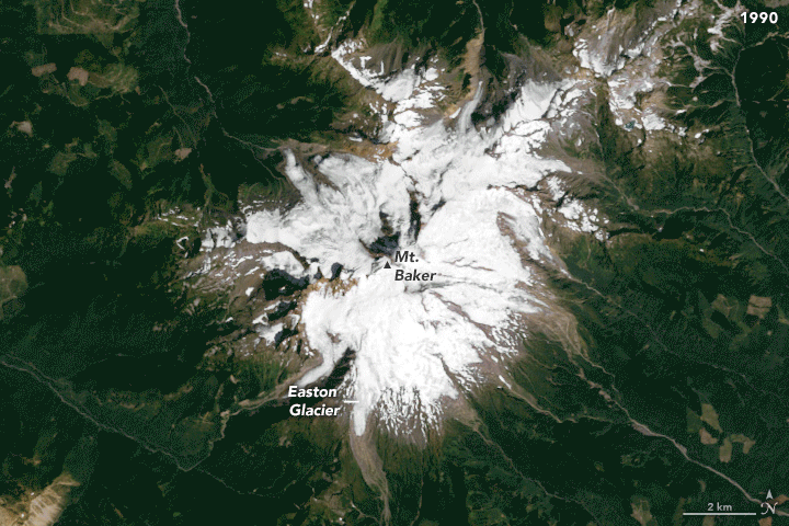 The Image features a satellite view of Mount Baker and the Easton Glacier. The surrounding landscape includes some bare tan colored rock on the immediate edges of the white snowfields before giving way to deep green foliage. The image itself scrolls away to a more current version of the same region and shows significantly less snow and ice coverage, and more bare rock in it's place.