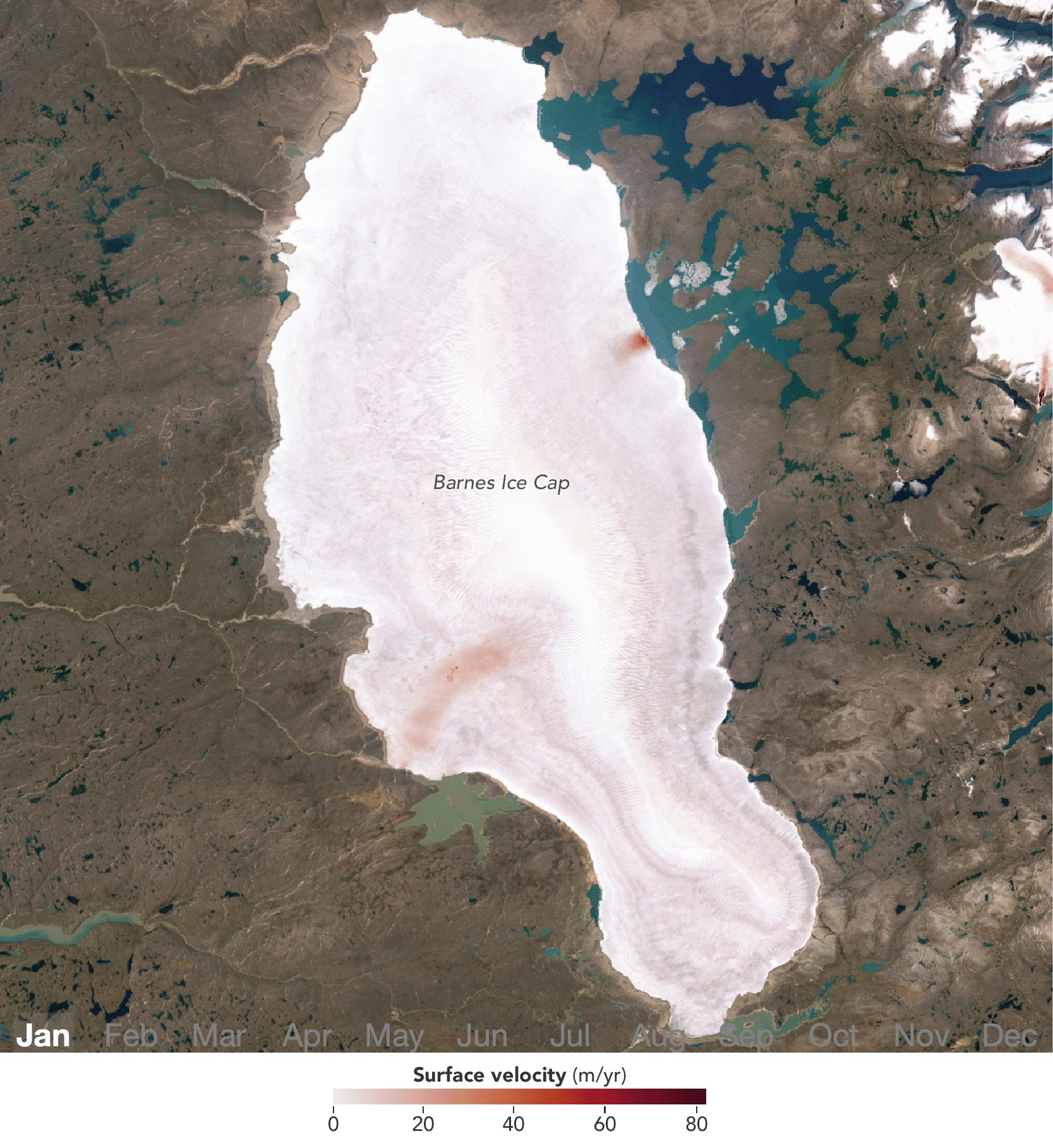 An animation shows an ice cap in the Canadian Arctic with monthly ice-velocity measurements overlaid from January through December. Red areas, indicating high ice velocities, expand across the ice cap during the summer months.
