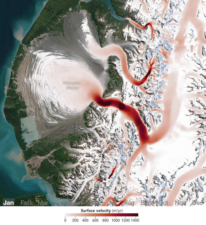 An animation shows glaciers in southeastern Alaska with monthly ice-velocity measurements overlaid from January through December. Red areas, indicating high ice velocities, begin to expand across Malaspina Glacier in spring.