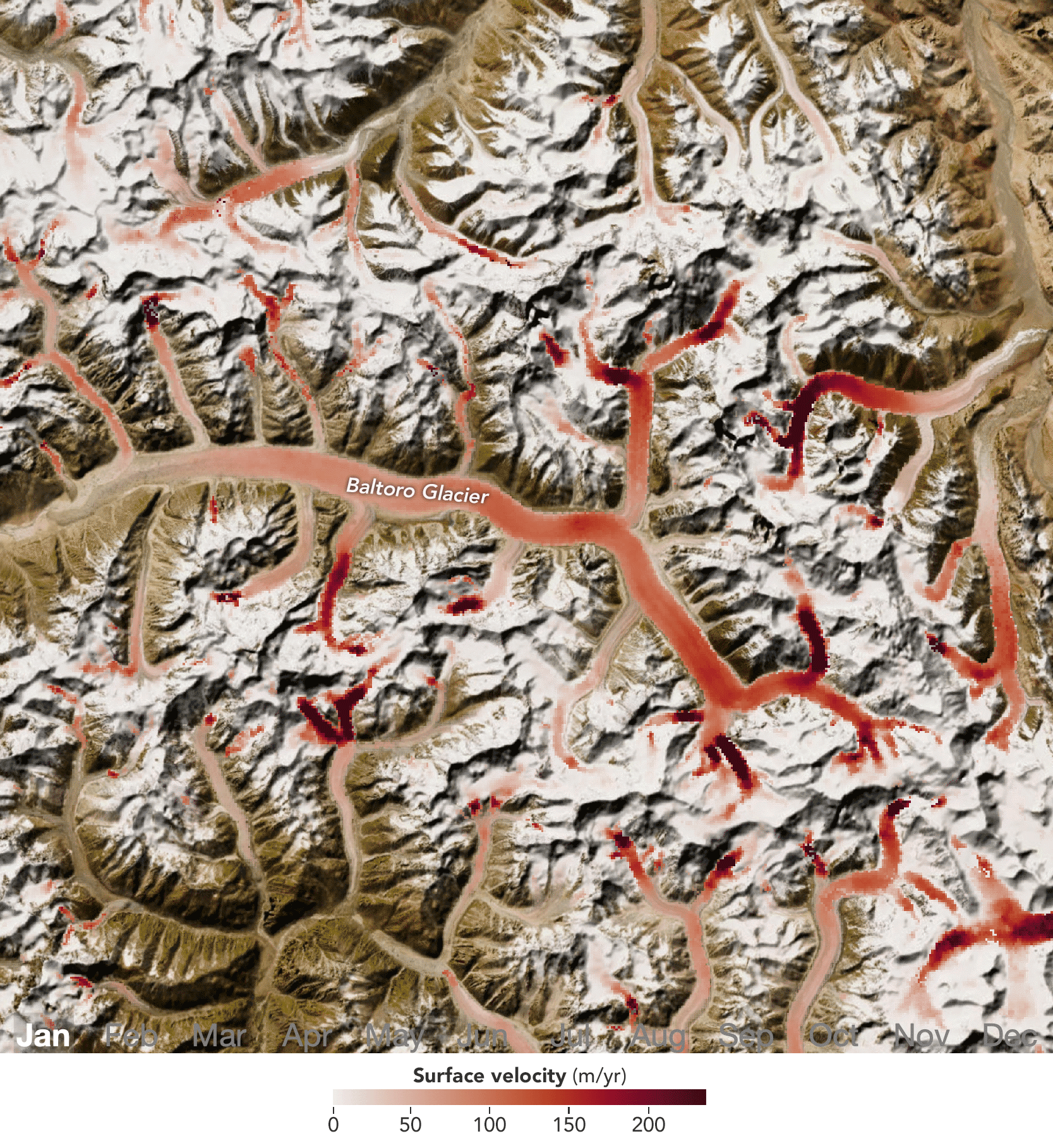 An animation shows glaciers in the Karakoram range of Pakistan with monthly ice-velocity measurements overlaid from January through December. On Baltoro Glacier, red areas, indicating high ice velocities, propagate slowly downslope throughout the melting season.
