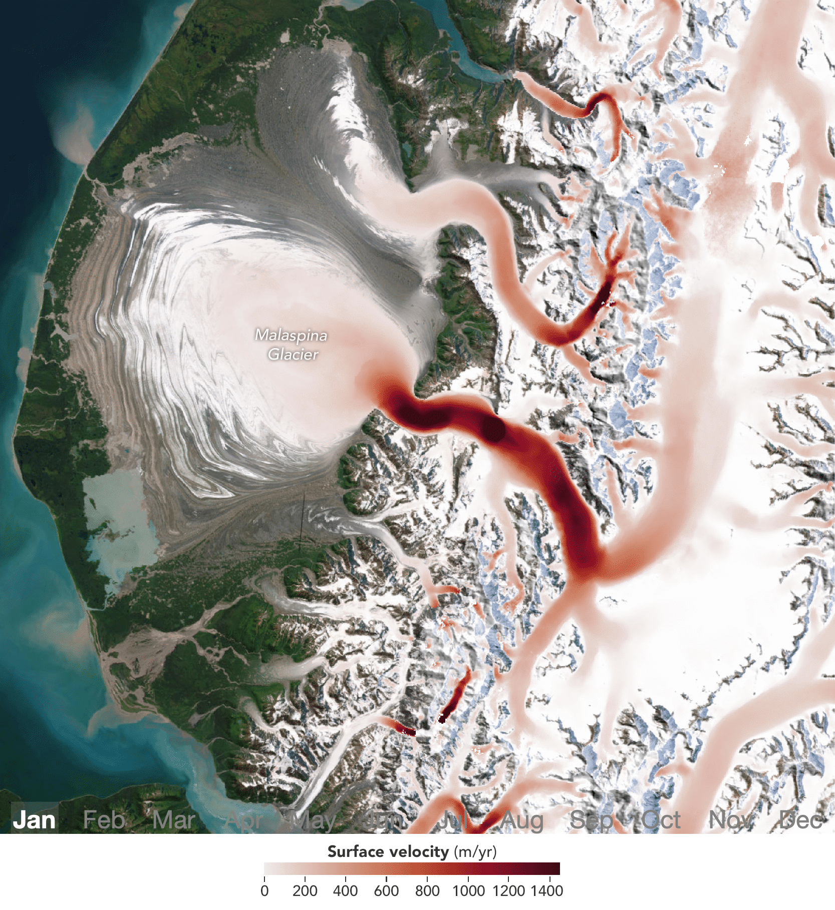An animation shows glaciers in southeastern Alaska with monthly ice-velocity measurements overlaid from January through December. Red areas, indicating high ice velocities, begin to expand across Malaspina Glacier in spring.