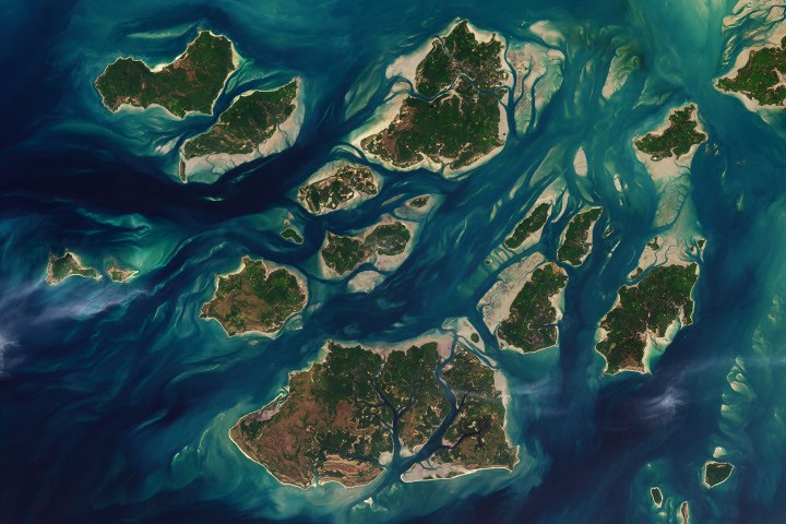 A Tide-Fueled Trove of Biodiversity in Guinea-Bissau