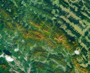 A satellite image of mountains in southeastern Poland in autumn. Green and orange forest covers parallel ridges running diagonally across the scene, and tan grasslands stretch along the highest crests.