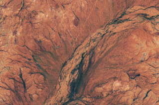 Land in the Western Australian outback appears mostly rusty orange but contains areas of green, especially in riverbeds.