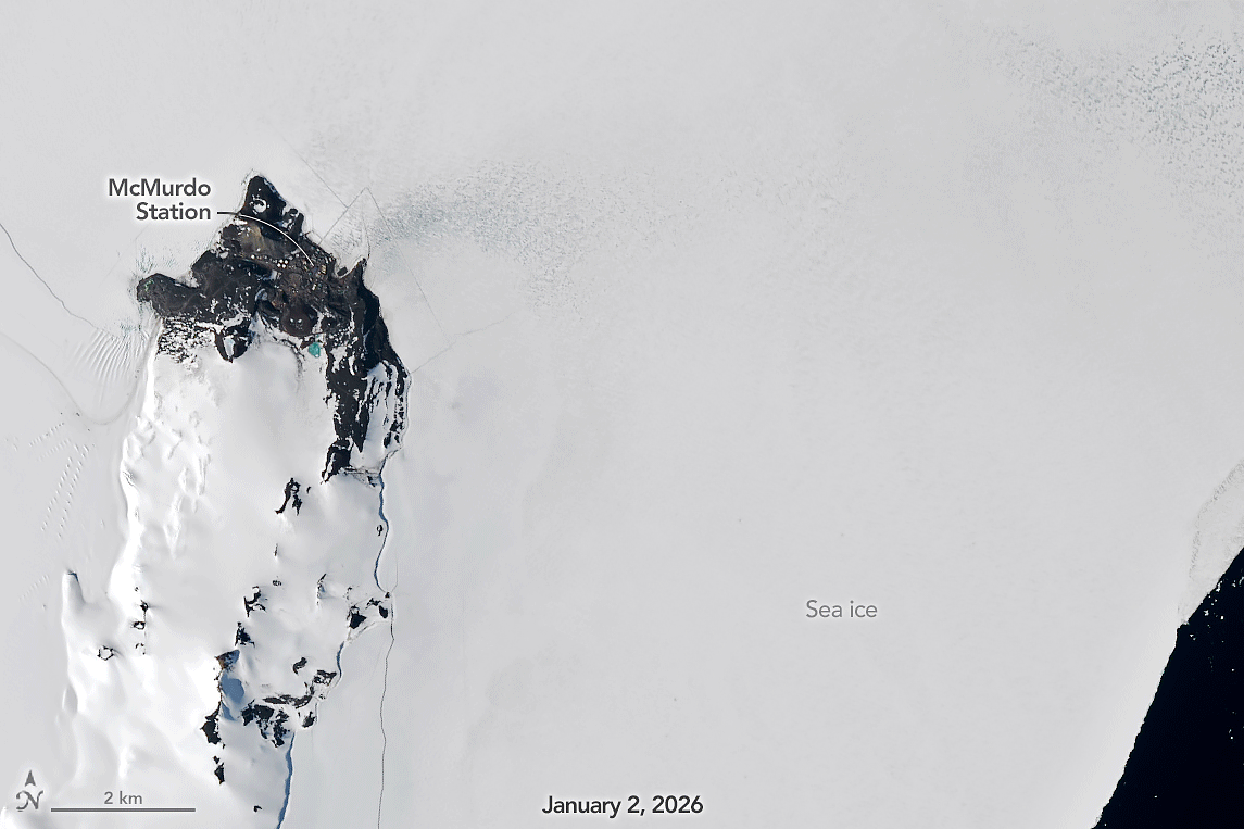 Seven satellite images captured in January 2026 show a stepwise lengthening of a ship channel in sea ice flanking the coast of Ross Island. The channel spans diagonally across the image, from an area of dark open water on the bottom-right to a research base on the top-left.