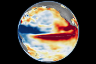 The 2015-16 El Niño was also very strong, as elevated sea levels in October 2015 show.