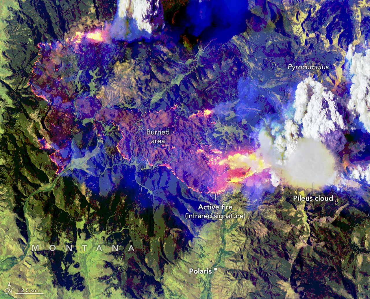 False-color aerial image of the same wildfire. Active fire fronts appear bright pink, magenta, and yellow around a large brown burned area. A towering white pyrocumulus cloud rises from the fire at right. A smooth, thin pileus cloud obscures part of its top.