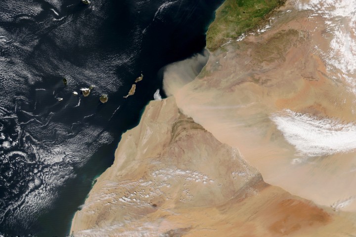 NASA Earth Observatory 사하라 먼지 관측 이미지
