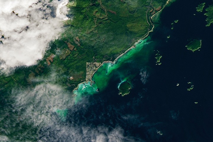 Satellite Spots a Spawn