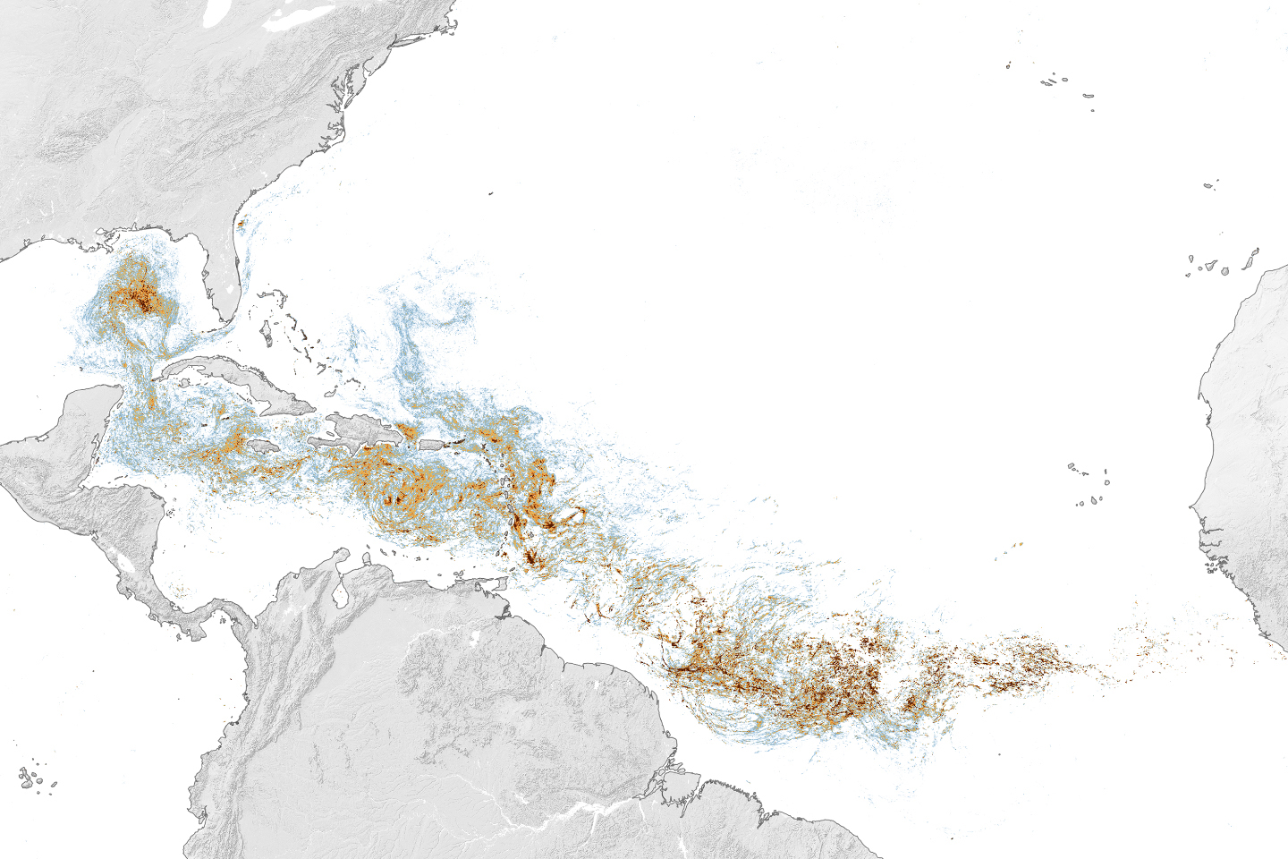 NASA satellite image: the Sargassum Belt