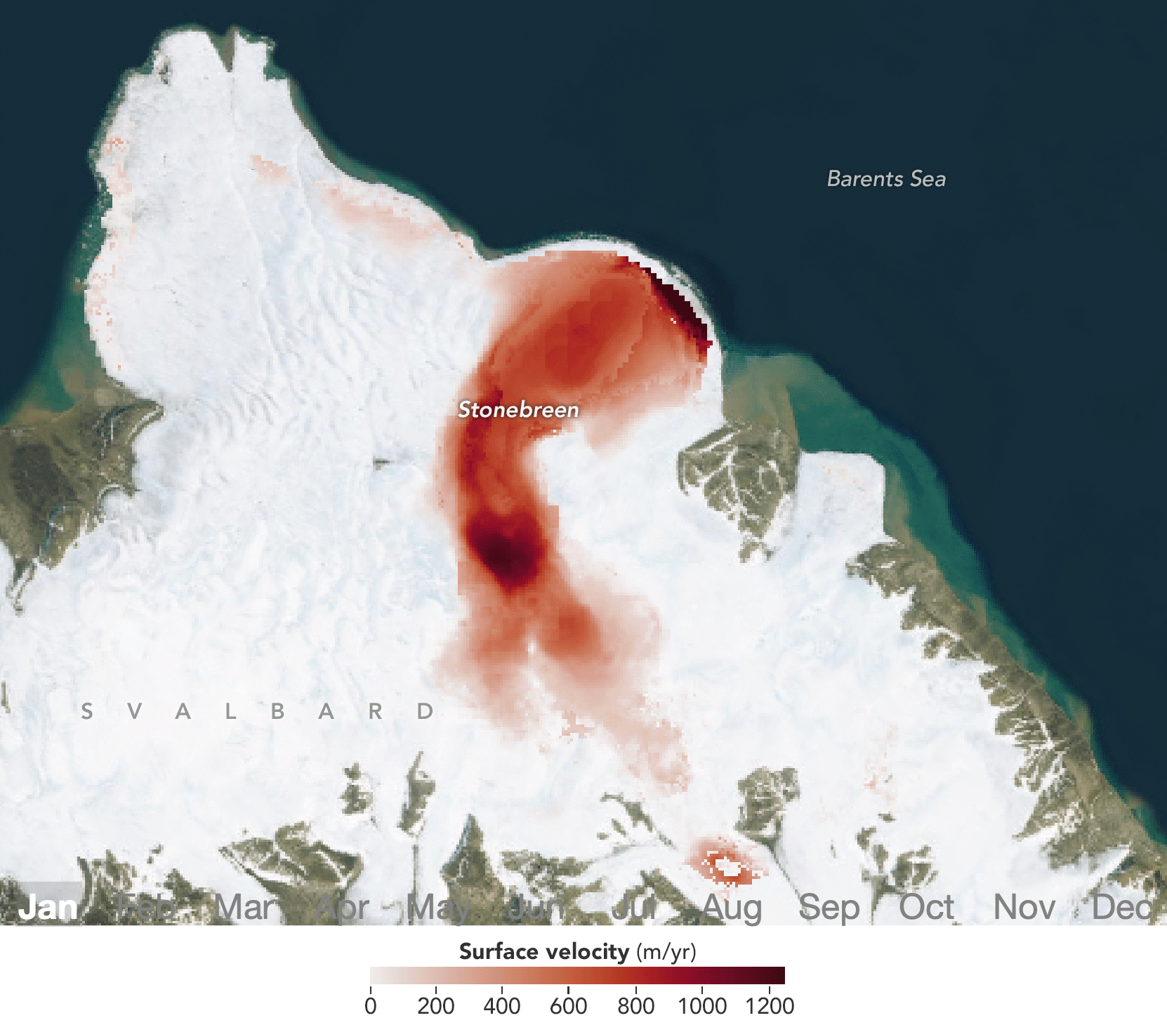An animation of part of an island in the Svalbard archipelago shows ice-covered terrain centered on a glacier that flows toward the dark blue Barents Sea at the top. Shades of red along the glacier appear to pulse from light to dark, indicating seasonal changes in the glacier’s speed—slower in winter and spring and faster in summer.
