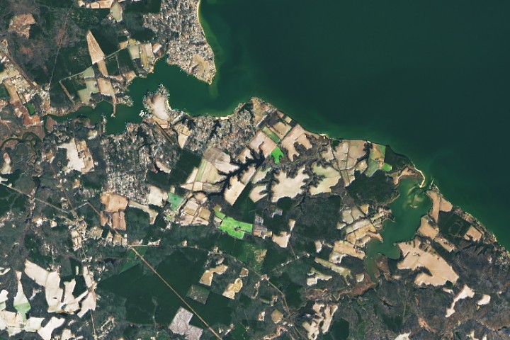 Surveying Popes Creek | Elegant Figures