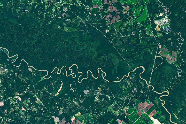 The Forested Floodplains of Congaree National Park