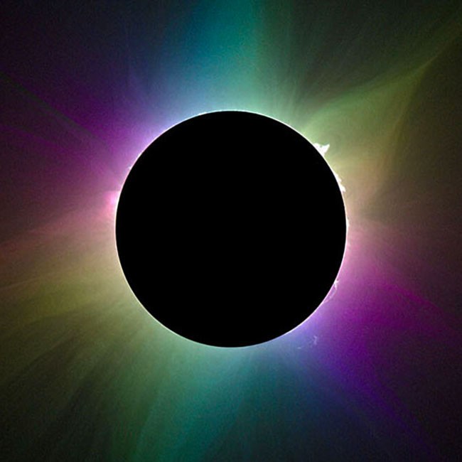 The Delight of Polarized Light Activity - NASA Science