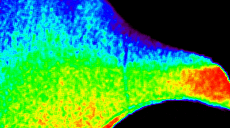 NASA’s CODEX Captures Unique Views of Sun’s Outer Atmosphere