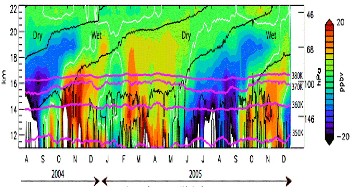 Carbon Monoxide Perturbation