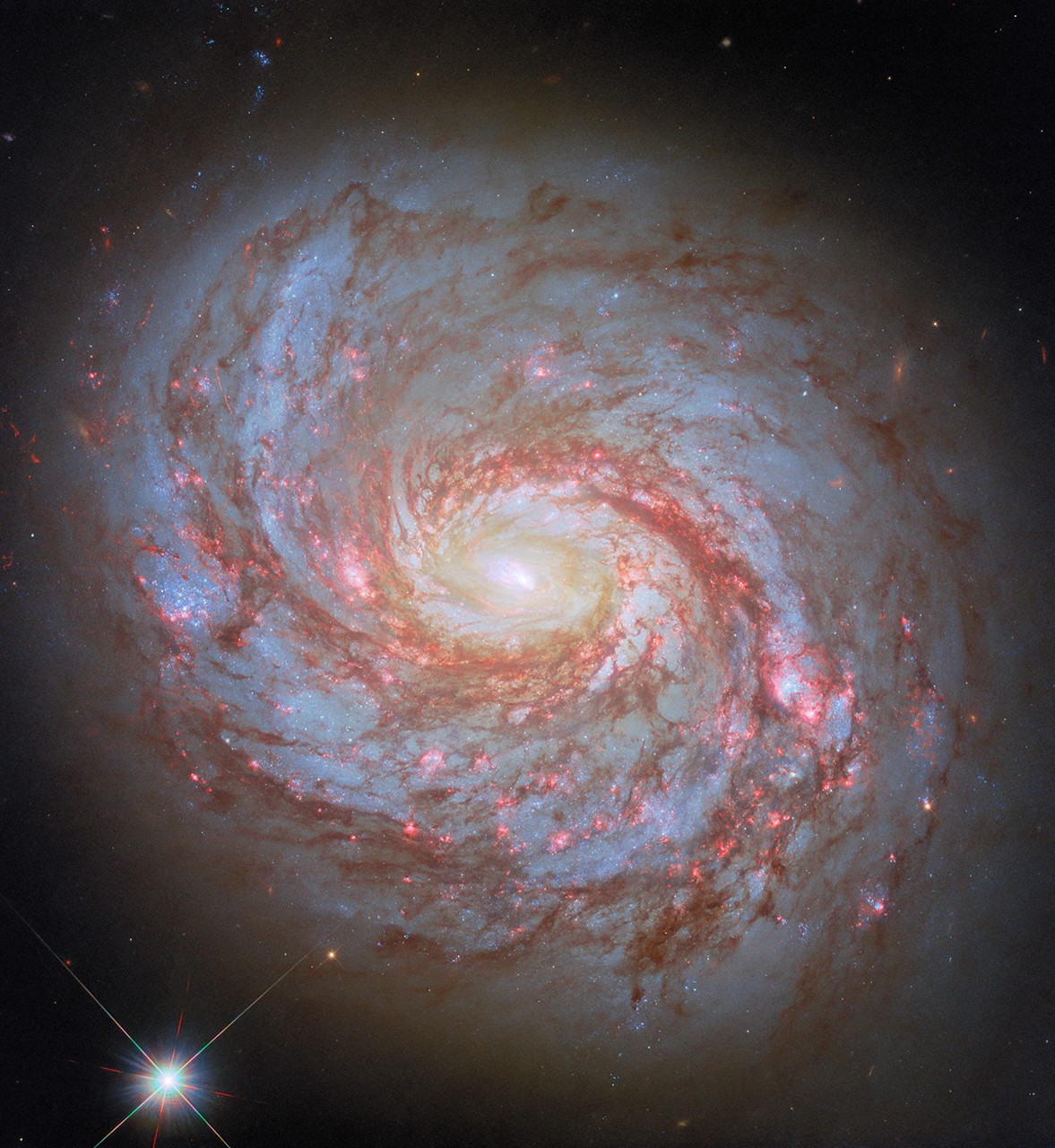 Hubble-Aufnahme der Balkenspiralgalaxie M77 mit hell leuchtendem Kern und rosafarbenen Sternentstehungsgebieten in den Spiralarmen