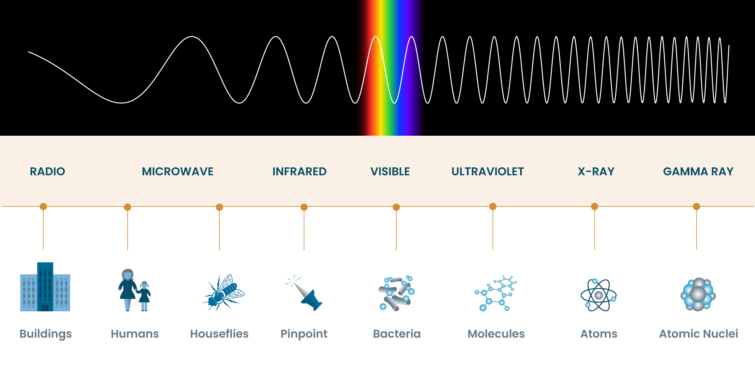 Wavelength Comparison - NASA Science