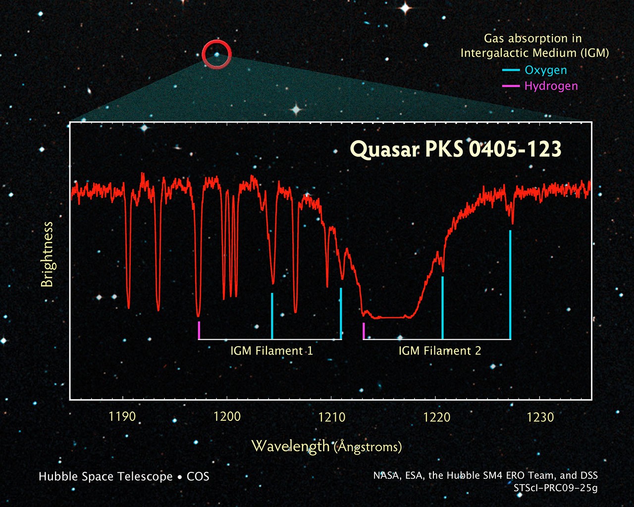 Fingerprinting the Distant Universe Using the Light from Quasar