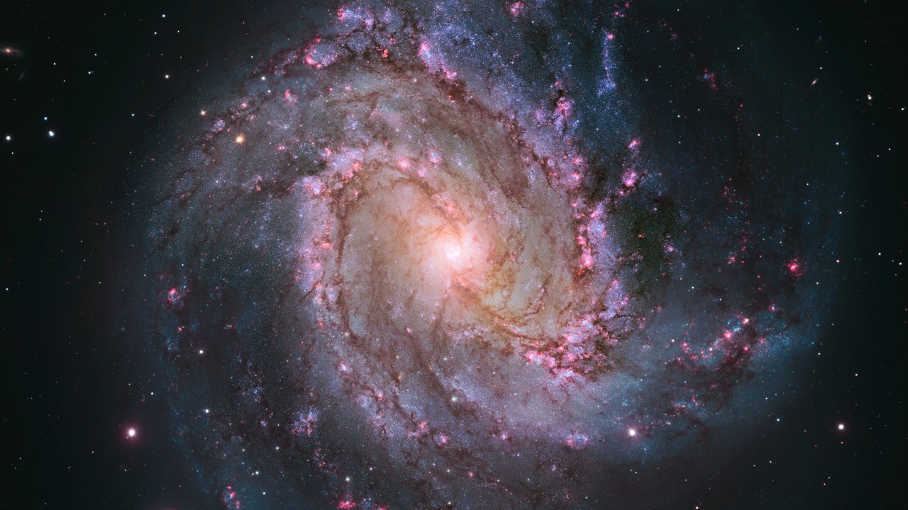 ◇準最高鑑定◇10枚のみ NGC MS65 バチカン市国 ヨハネ・パウロ一世